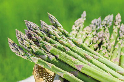 【ふるさと納税】まっかり四季の恵みセット（年4回お届け）【北海道真狩村産のアスパラ、とうもろこし、じゃがいも、ゆり根】『2026年アスパラはじまり』【0117801】 - 画像2