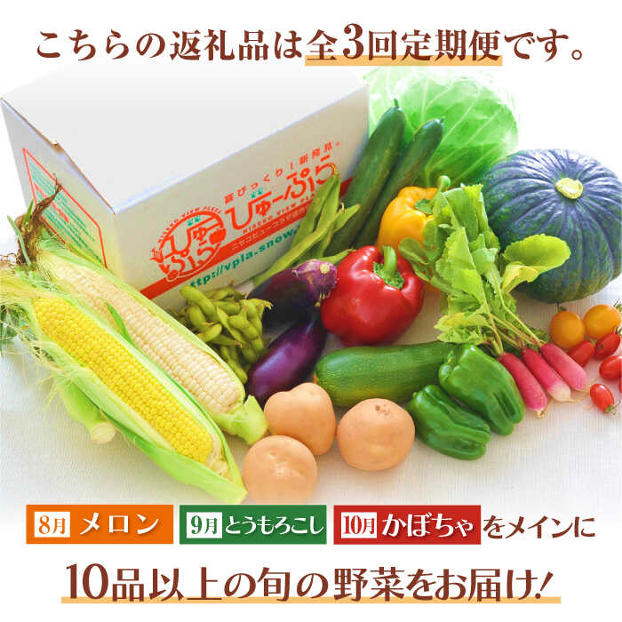 【ふるさと納税】【2026年8月以降順次発送】【全3回定期便】先行予約 旬の野菜 詰め合わせ 《喜茂別町》【ニセコビュープラザ直売会協同組合】 メロン トウモロコシ とうもろこし コーン 定期便 先行予約 朝採れ 夏野菜 北海道 [AJAH004] 37000 37000円 - 画像2
