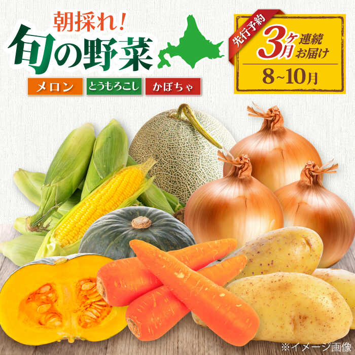 【2026年8月以降順次発送】【全3回定期便】先行予約 旬の野菜 詰め合わせ 《喜茂別町》【ニセコビュープラザ直売会協同組合】 メロン トウモロコシ とうもろこし コーン 定期便 先行予約 朝採れ 夏野菜 北海道 [AJAH004] 37000 37000円