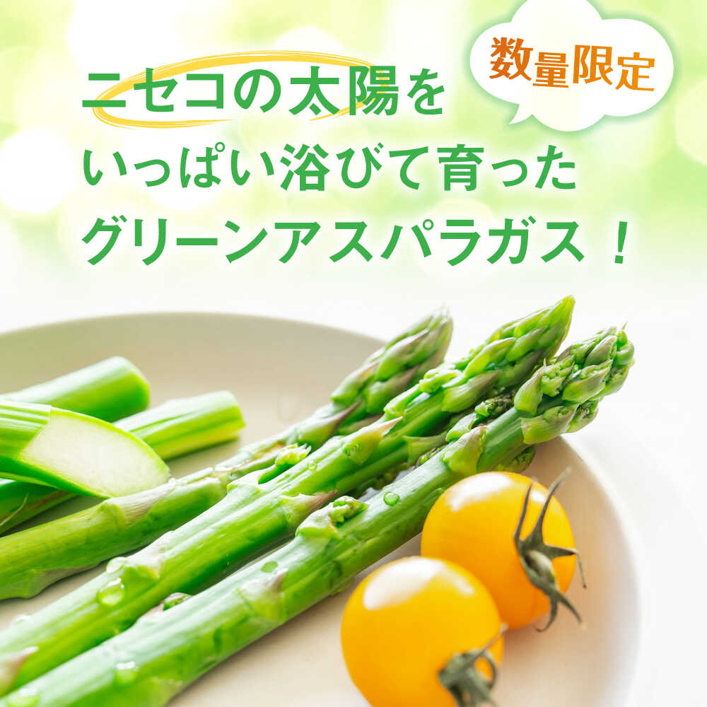 【ふるさと納税】【2026年5月中旬以降順次発送】北海道 朝採れ アスパラ 1kg Mサイズ 《喜茂別町》【ニセコビュープラザ直売会協同組合】 先行予約 アスパラ アスパラガス グリーンアスパラ 冷蔵 冷蔵配送 野菜 春野菜 季節の野菜 [AJAH016] 12000 12000円 - 画像2