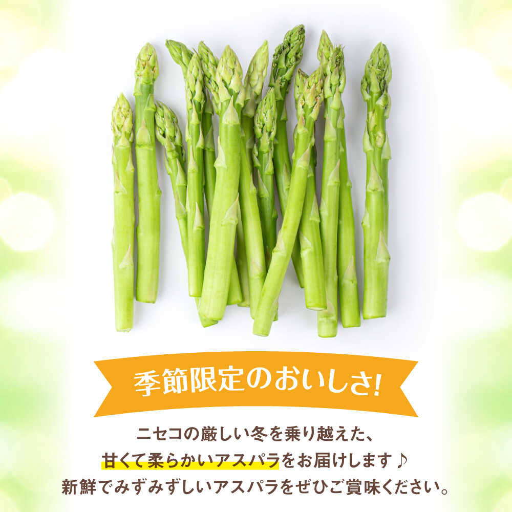 【ふるさと納税】【2026年5月中旬以降順次発送】北海道 朝採れ アスパラ 1kg Mサイズ 《喜茂別町》【ニセコビュープラザ直売会協同組合】 先行予約 アスパラ アスパラガス グリーンアスパラ 冷蔵 冷蔵配送 野菜 春野菜 季節の野菜 [AJAH016] 12000 12000円 - 画像3