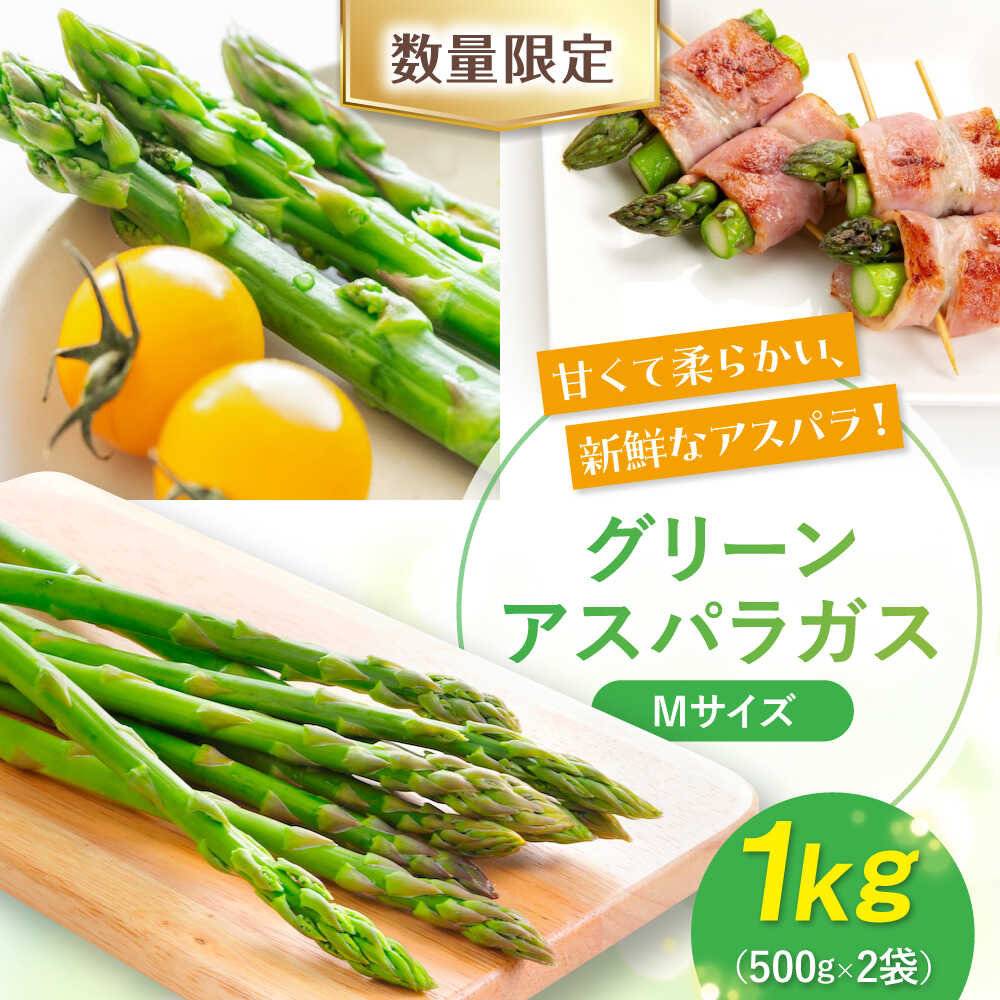 【2026年5月中旬以降順次発送】北海道 朝採れ アスパラ 1kg Mサイズ 《喜茂別町》【ニセコビュープラザ直売会協同組合】 先行予約 アスパラ アスパラガス グリーンアスパラ 冷蔵 冷蔵配送 野菜 春野菜 季節の野菜 [AJAH016] 12000 12000円