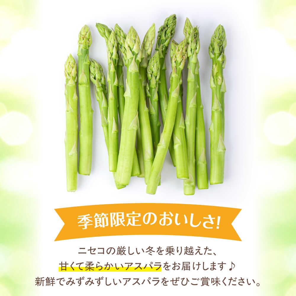 【ふるさと納税】【2026年5月中旬以降順次発送】北海道 アスパラ 1kg M / 2L 混サイズ 《喜茂別町》【ニセコビュープラザ直売会協同組合】 先行予約 アスパラガス グリーンアスパラ 冷蔵 野菜 春野菜 季節の野菜 [AJAH017] 15000 15000円 - 画像3