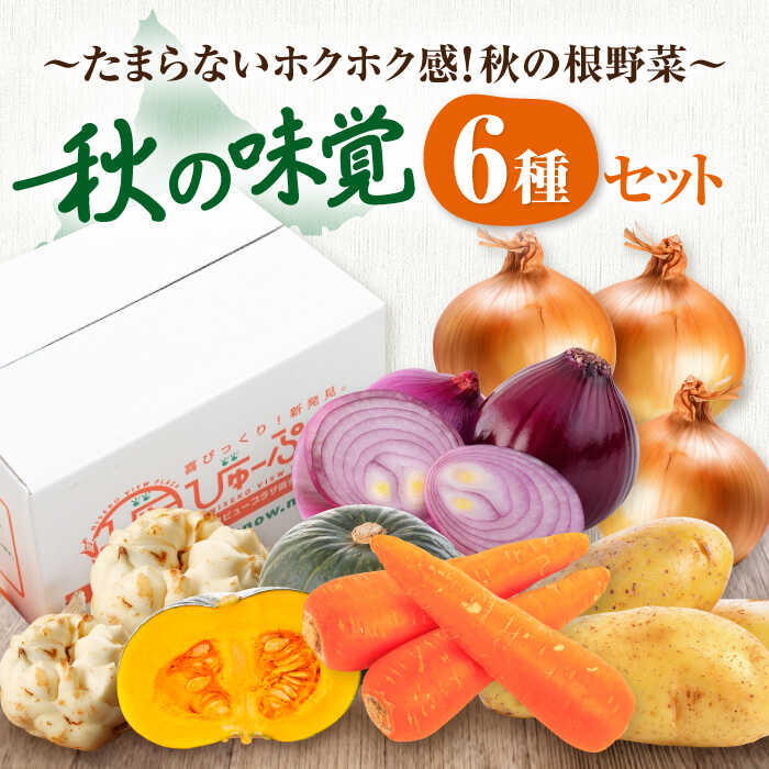 【2026年11月中旬以降順次発送】先行予約 北海道産 秋のうまいもん 6種セット 《喜茂別町》【ニセコビュープラザ直売会協同組合】先行予約 セット 詰め合わせ 秋野菜 冬野菜 季節の野菜 玉ねぎ たまねぎ じゃがいも 北海道 [AJAH024] 16000 16000円