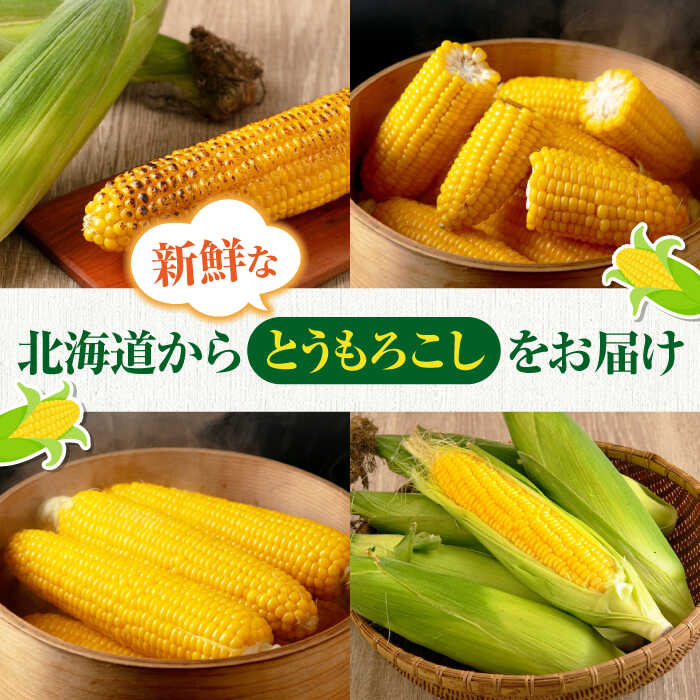 【ふるさと納税】【2026年8月中旬以降順次発送】北海道産 朝採れ とうもろこし 10本 《喜茂別町》【ニセコビュープラザ直売会協同組合】 とうもろこし トウモロコシ コーン 先行予約 季節の野菜 夏野菜 北海道産 [AJAH025] 14000 14000円 - 画像2
