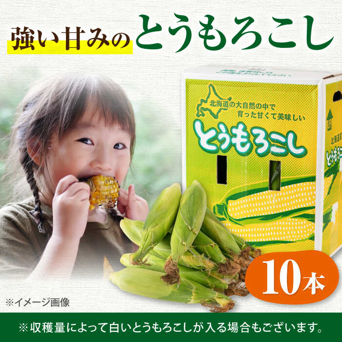 【ふるさと納税】【2026年8月中旬以降順次発送】北海道産 朝採れ とうもろこし 10本 《喜茂別町》【ニセコビュープラザ直売会協同組合】 とうもろこし トウモロコシ コーン 先行予約 季節の野菜 夏野菜 北海道産 [AJAH025] 14000 14000円 - 画像3