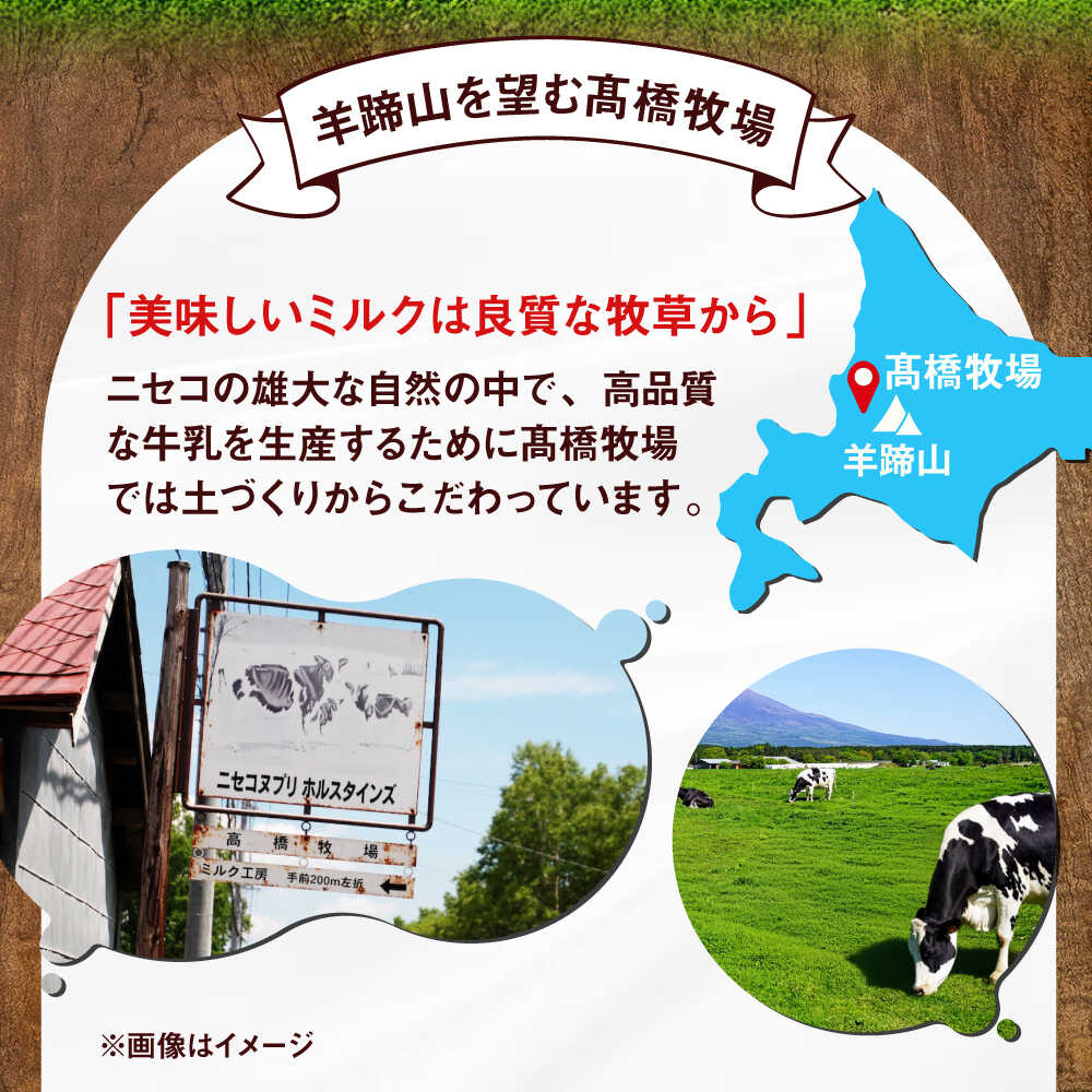 【ふるさと納税】北海道 ミルク工房 カップアイスセット 10個 《喜茂別町》【ニセコリゾート観光協会】 アイス アイスクリーム ジェラート ミルク 抹茶 ブルーベリー ギフト セット カップアイス 詰め合わせ [AJAI011] 11000 11000円 - 画像3
