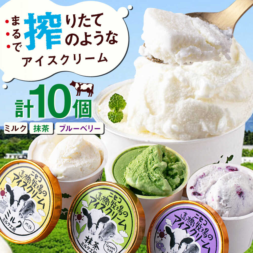 北海道 ミルク工房 カップアイスセット 10個 《喜茂別町》【ニセコリゾート観光協会】 アイス アイスクリーム ジェラート ミルク 抹茶 ブルーベリー ギフト セット カップアイス 詰め合わせ [AJAI011] 11000 11000円