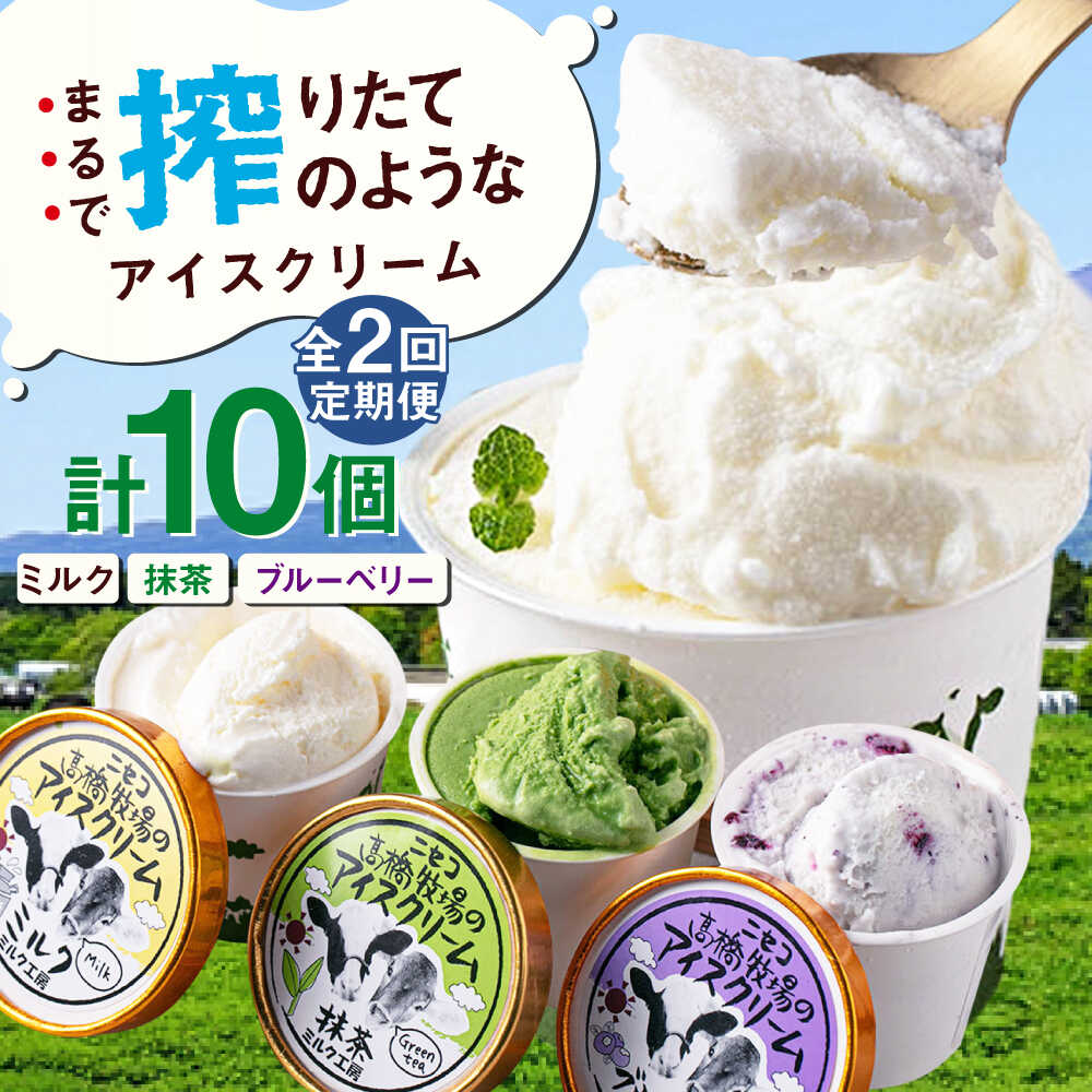 【全2回定期便】北海道 カップアイスセット 10個 《喜茂別町》【ニセコリゾート観光協会/ミルク工房】 アイス アイスクリーム ジェラート ミルク 抹茶 ブルーベリー 詰め合わせ ギフト 冷凍配送 北海道 定期便 定期 [AJAI055] 22000 22000円