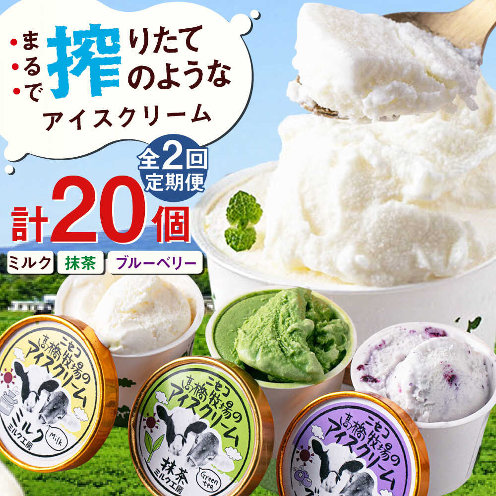 【全2回定期便】北海道 カップアイスセット 20個《喜茂別町》【ニセコリゾート観光協会/ミルク工房】 アイス アイスクリーム ジェラート ミルク 抹茶 ブルーベリー 詰め合わせ ギフト 冷凍配送 北海道 定期便 定期 [AJAI059] 40000 40000円 4万円