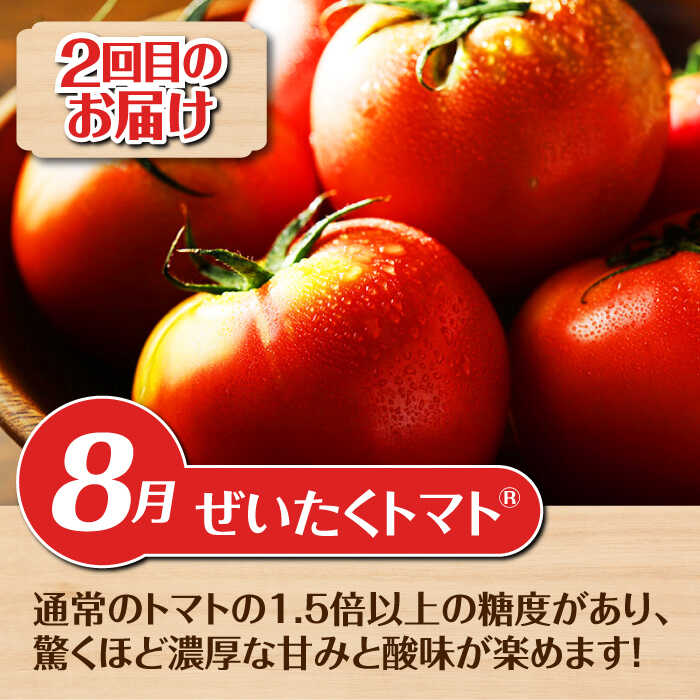 【ふるさと納税】【全3回定期便】【2026年発送】数量限定！ 旬のお野菜 定期便 《喜茂別町》【富田農園/スプレス】 野菜 季節の野菜 春野菜 夏野菜 秋野菜 アスパラ トマト コーン トウモロコシ 北海道 産地直送 北海道 北海道 [AJAJ001] 54000 54000円 - 画像3