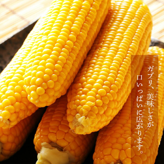 【ふるさと納税】【2026年分予約開始！】北海道 こだわり農家の喜茂別産スイートコーン 10本 《喜茂別町》【富田農園/スプレス】 スイートコーン コーン トウモロコシ とうもろこし 野菜 季節の野菜 冷蔵 [AJAJ003] 15000 15000円 - 画像3