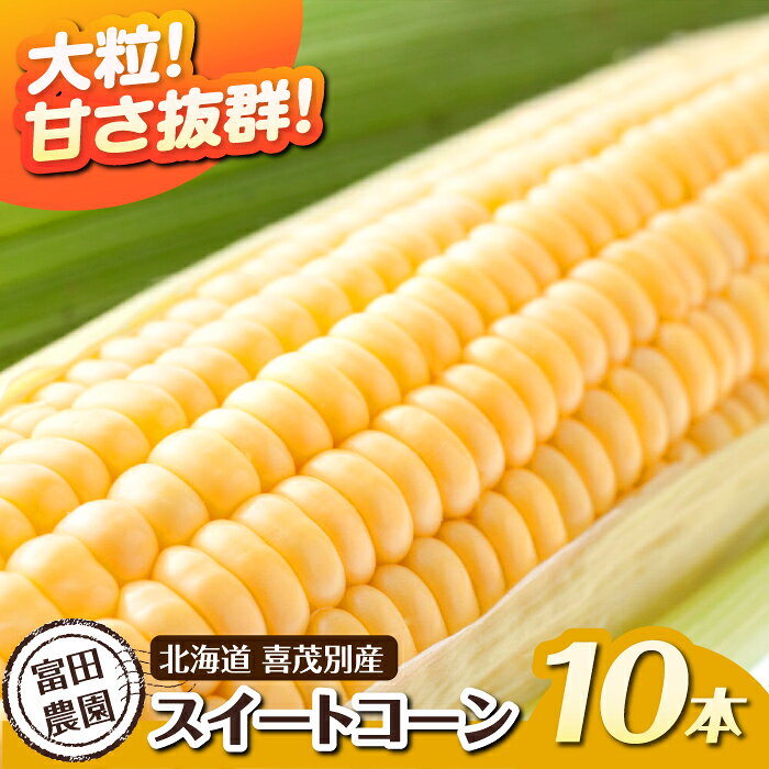 【2026年分予約開始！】北海道 こだわり農家の喜茂別産スイートコーン 10本 《喜茂別町》【富田農園/スプレス】 スイートコーン コーン トウモロコシ とうもろこし 野菜 季節の野菜 冷蔵 [AJAJ003] 15000 15000円