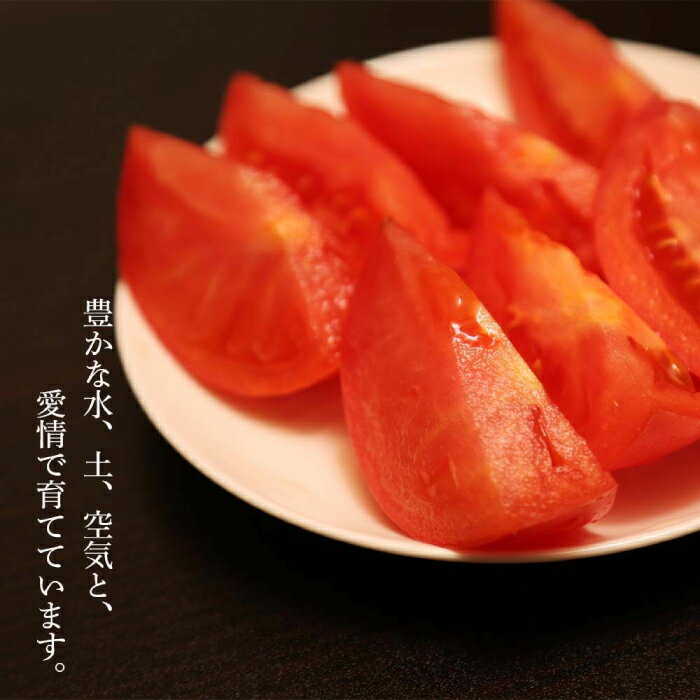 【ふるさと納税】【2026年分予約開始！】北海道 こだわり農家の喜茂別産ぜいたくトマト 約1.5kg 《喜茂別町》【富田農園/スプレス】 トマト とまと 先行予約 夏野菜 季節の野菜 冷蔵 産地直送 [AJAJ004] 16000 16000円 - 画像3