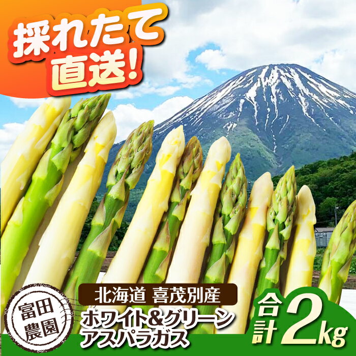 【2026年分予約開始】北海道 こだわり農家のホワイト＆グリーンアスパラセット 計2kg《喜茂別町》【富田農園/スプレス】 アスパラ アスパラガス グリーンアスパラガス ホワイトアスパラガス [AJAJ006] 23000 23000円