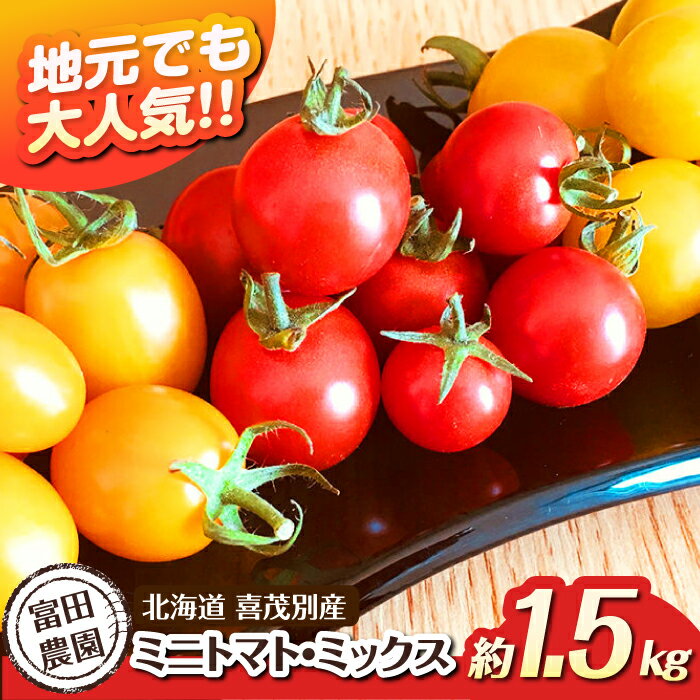 【2026年分予約開始！】北海道 こだわり農家の喜茂別産ミニトマト・ミックス 約1.5kg 《喜茂別町》【富田農園/スプレス】 トマト とまと ミニトマト 野菜 季節の野菜 夏野菜 産地直送 [AJAJ007] 16000 16000円