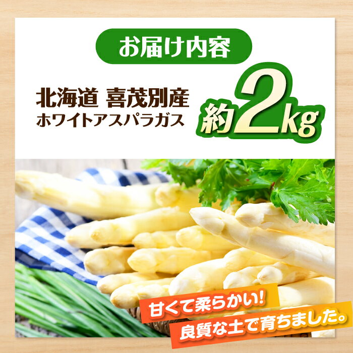 【ふるさと納税】【2026年分予約開始！】北海道 喜茂別産 採れたて！ホワイトアスパラガス 約2kg 《喜茂別町》【富田農園/スプレス】 アスパラ アスパラガス ホワイトアスパラガス 季節の野菜 春野菜 [AJAJ008] 23000 23000円 - 画像2