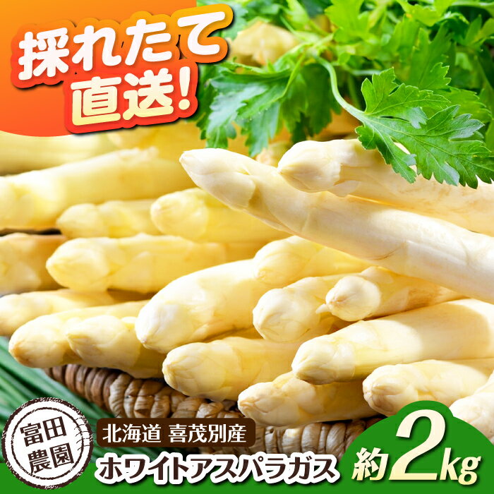 【2026年分予約開始！】北海道 喜茂別産 採れたて！ホワイトアスパラガス 約2kg 《喜茂別町》【富田農園/スプレス】 アスパラ アスパラガス ホワイトアスパラガス 季節の野菜 春野菜 [AJAJ008] 23000 23000円
