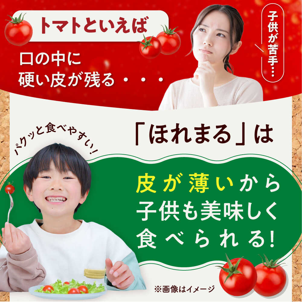 【ふるさと納税】【2026年7月以降順次発送】 喜茂別産 採れたてミニトマト 『ほれまる』 （500g×4パック）《喜茂別町》【富田農園/スプレス】 トマト ミニトマト 野菜 夏野菜 先行予約 朝採れ 季節の野菜 [AJAJ012] 16000 16000円 - 画像3