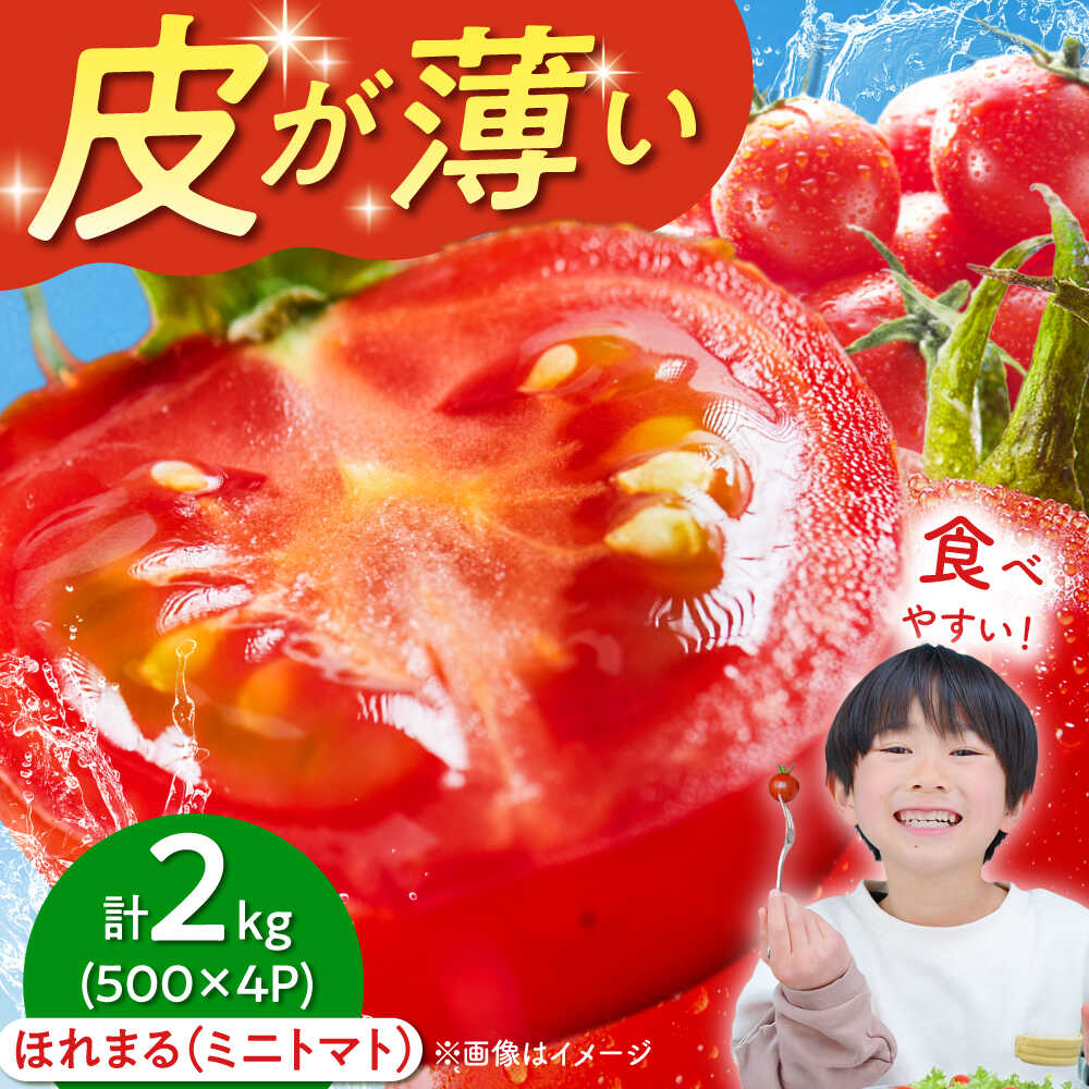 【2026年7月以降順次発送】 喜茂別産 採れたてミニトマト 『ほれまる』 （500g×4パック）《喜茂別町》【富田農園/スプレス】 トマト ミニトマト 野菜 夏野菜 先行予約 朝採れ 季節の野菜 [AJAJ012] 16000 16000円