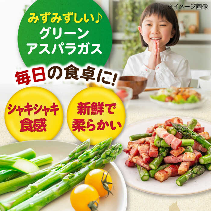 【ふるさと納税】【6月上旬以降順次発送】北海道 グリーンアスパラガス 1.5kg（ L サイズ 500g 2袋 M サイズ 500g ）《喜茂別町》【Aコープようてい】 アスパラ アスパラガス 野菜 北海道 季節の野菜 [AJAK003] 16000 16000円 - 画像2