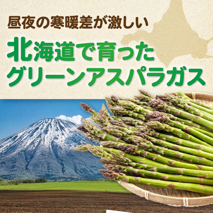 【ふるさと納税】【6月上旬以降順次発送】北海道 グリーンアスパラガス 1.5kg（ L サイズ 500g 2袋 M サイズ 500g ）《喜茂別町》【Aコープようてい】 アスパラ アスパラガス 野菜 北海道 季節の野菜 [AJAK003] 16000 16000円 - 画像3