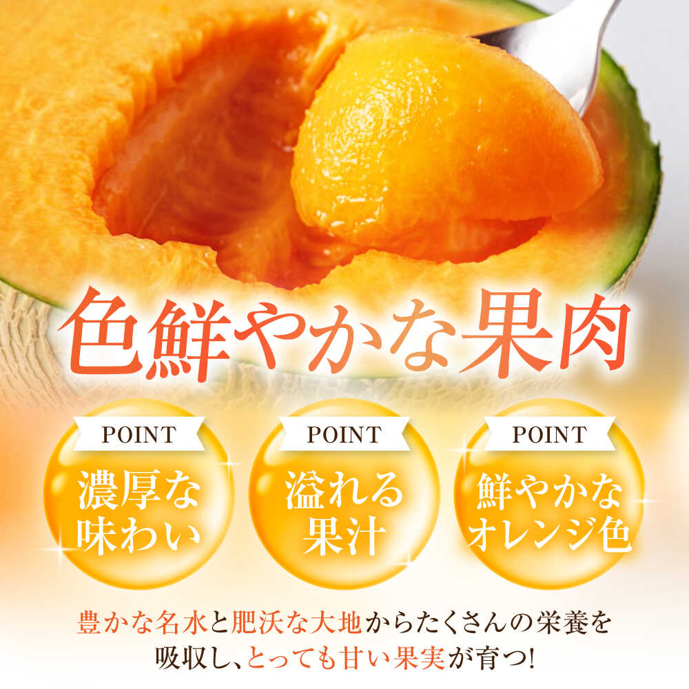 【ふるさと納税】【8月中旬以降順次発送】北海道 赤肉メロン 2玉 計3.2kg 《喜茂別町》【Aコープようてい】 メロン 赤肉 フルーツ 果物 贈答用 お取り寄せ 果肉 国産 産地直送 JA [AJAK004] 15000 15000円 - 画像3