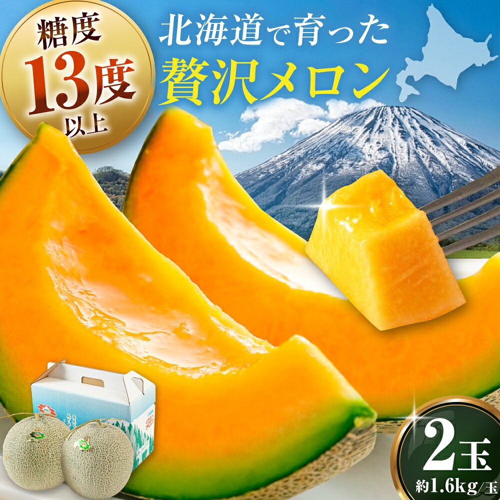 【8月中旬以降順次発送】北海道 赤肉メロン 2玉 計3.2kg 《喜茂別町》【Aコープようてい】 メロン 赤肉 フルーツ 果物 贈答用 お取り寄せ 果肉 国産 産地直送 JA [AJAK004] 15000 15000円