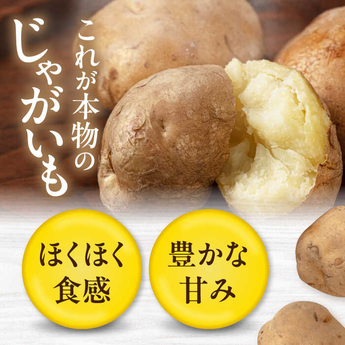 【ふるさと納税】北海道 新じゃが じゃがいも 男爵芋 10kg 《喜茂別町》【Aコープようてい】ジャガイモ じゃがいも 新じゃが 新じゃがいも 野菜 季節の野菜 秋野菜 詰め合わせ 産地直送 [AJAK008] 8000 8000円 8千円 サムネイル2