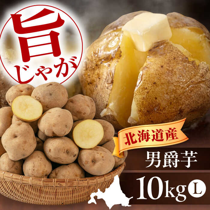 北海道 新じゃが じゃがいも 男爵芋 10kg 《喜茂別町》【Aコープようてい】ジャガイモ じゃがいも 新じゃが 新じゃがいも 野菜 季節の野菜 秋野菜 詰め合わせ 産地直送 [AJAK008] 8000 8000円 8千円