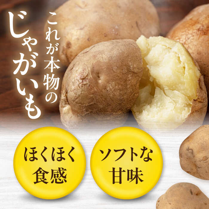 【ふるさと納税】【9月下旬以降順次発送】北海道 新じゃが じゃがいも キタアカリ 10kg 《喜茂別町》【Aコープようてい】ジャガイモ じゃがいも 新じゃが 新じゃがいも 野菜 季節の野菜 秋野菜 詰め合わせ 北海道 産地直送 [AJAK010] 10000 10000円 1万円 - 画像2