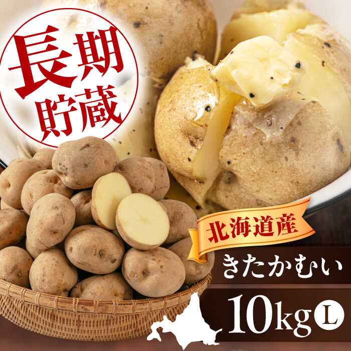 【2027年1月上旬以降順次発送】北海道 じゃがいも きたかむい 10kg 《喜茂別町》【Aコープようてい】 ジャガイモ 野菜 季節の野菜 冬野菜 詰め合わせ 北海道 産地直送 直送農場 [AJAK012] 10000 10000円 1万円
