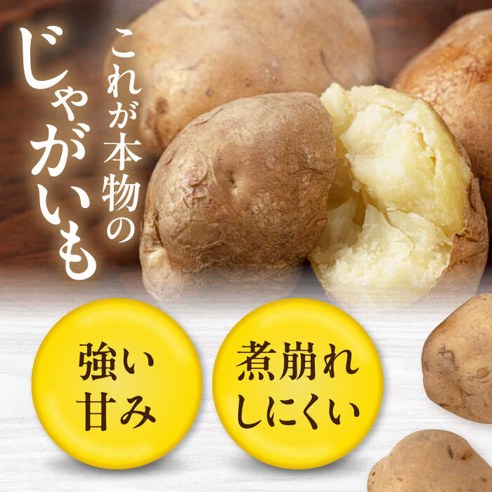 【ふるさと納税】先行予約 北海道 じゃがいも きたかむい 20kg《喜茂別町》【Aコープようてい】 先行予約 ジャガイモ 野菜 季節の野菜 冬野菜 詰め合わせ 北海道 産地直送 [AJAK013] 15000 15000円 サムネイル2