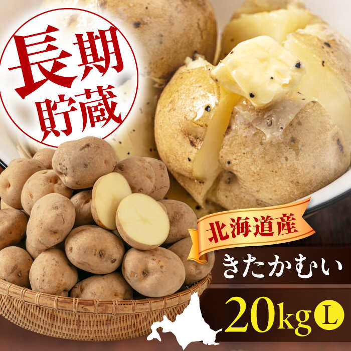 先行予約 北海道 じゃがいも きたかむい 20kg《喜茂別町》【Aコープようてい】 先行予約 ジャガイモ 野菜 季節の野菜 冬野菜 詰め合わせ 北海道 産地直送 [AJAK013] 15000 15000円
