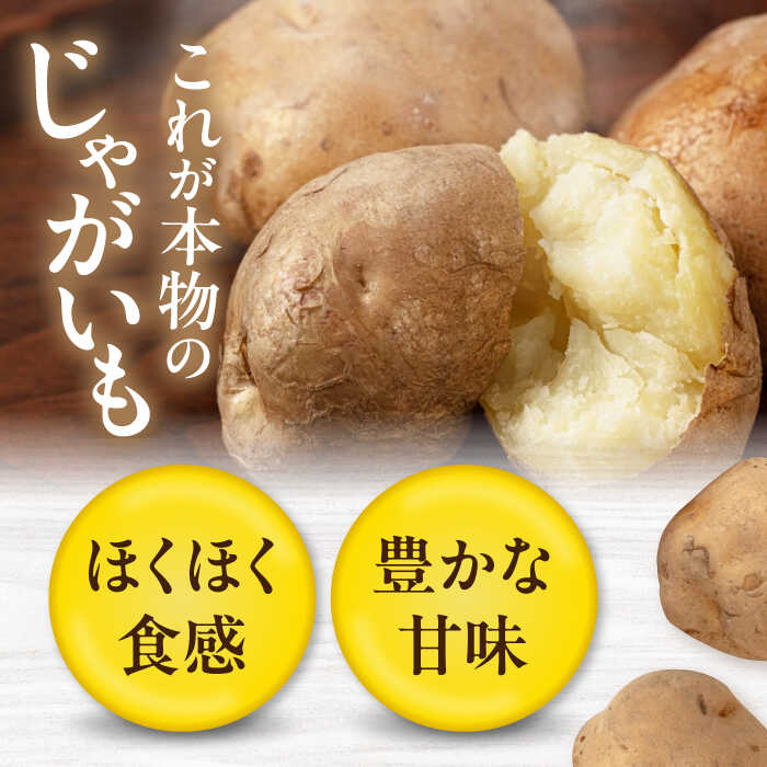 【ふるさと納税】新じゃが 北海道 じゃがいも 食べ比べセット 20kg（ 男爵芋 キタアカリ 各10kg）《喜茂別町》【Aコープようてい】ジャガイモ 新じゃが セット 季節の野菜 秋野菜 詰め合わせ [AJAK014] 15000 15000円 サムネイル2