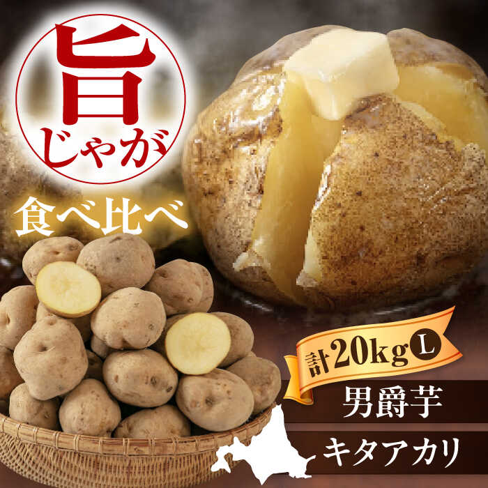 新じゃが 北海道 じゃがいも 食べ比べセット 20kg（ 男爵芋 キタアカリ 各10kg）《喜茂別町》【Aコープようてい】ジャガイモ 新じゃが セット 季節の野菜 秋野菜 詰め合わせ [AJAK014] 15000 15000円