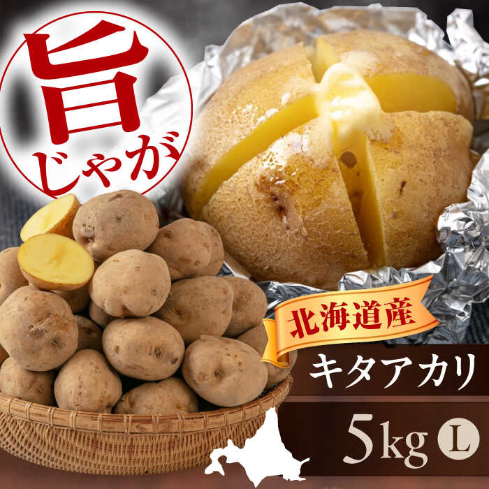 【9月下旬以降順次発送】北海道 じゃがいも キタアカリ 5kg 《喜茂別町》【Aコープようてい】 ジャガイモ じゃがいも 野菜 季節の野菜 詰め合わせ 北海道 産地直送 [AJAK028] 7000 7000円