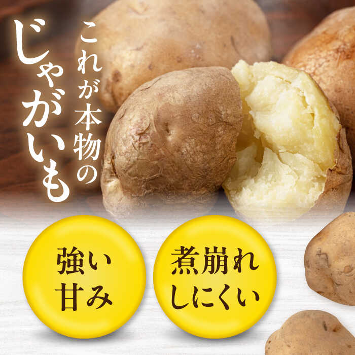 【ふるさと納税】【2027年1月上旬以降順次発送】北海道 じゃがいも きたかむい 5kg 《喜茂別町》【Aコープようてい】 ジャガイモ 野菜 季節の野菜 詰め合わせ 北海道 産地直送 [AJAK029] 7000 7000円 - 画像2