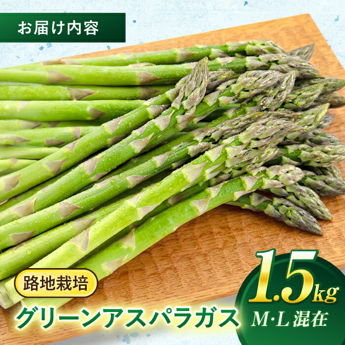 【ふるさと納税】【2026年5月上旬以降順次発送】北海道 グリーンアスパラガス 1.5kg （M・L混在/露地栽培）《喜茂別町》【久保田農園】 アスパラ アスパラガス グリーンアスパラ 冷蔵 26年発送 [AJAM001] 13000 13000円 サムネイル2
