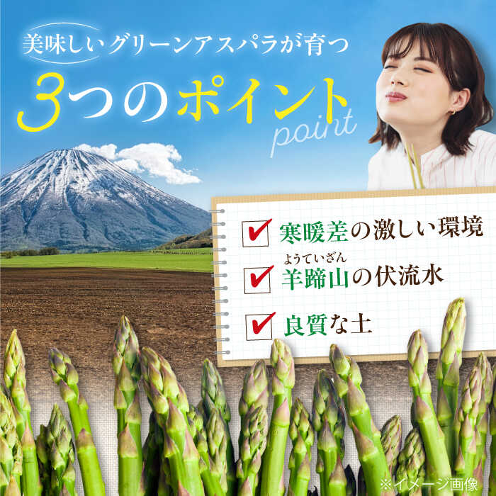【ふるさと納税】【2026年5月上旬以降順次発送】北海道 グリーンアスパラガス 1.5kg （M・L混在/露地栽培）《喜茂別町》【久保田農園】 アスパラ アスパラガス グリーンアスパラ 冷蔵 26年発送 [AJAM001] 13000 13000円 サムネイル3