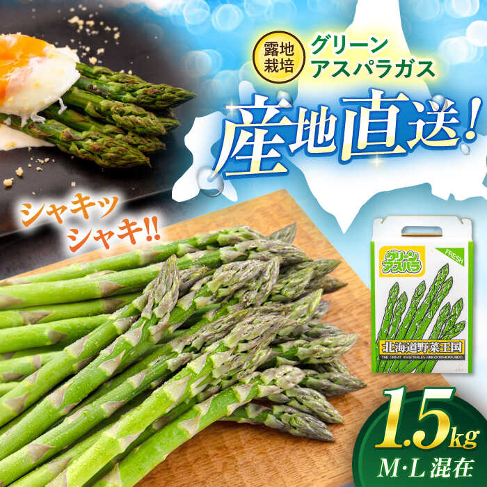 【2026年5月上旬以降順次発送】北海道 グリーンアスパラガス 1.5kg （M・L混在/露地栽培）《喜茂別町》【久保田農園】 アスパラ アスパラガス グリーンアスパラ 冷蔵 26年発送 [AJAM001] 13000 13000円