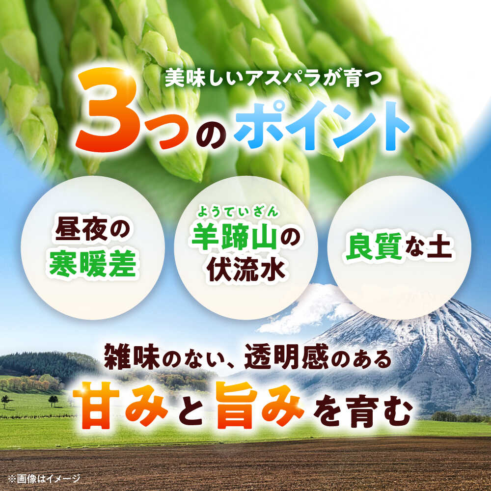【ふるさと納税】【選べるサイズ】グリーンアスパラガス 1kg （2S・S・L/露地栽培）《喜茂別町》【久保田農園】アスパラ アスパラガス 北海道 冷蔵 野菜 春野菜 26年発送 [AJAM009] - 画像3