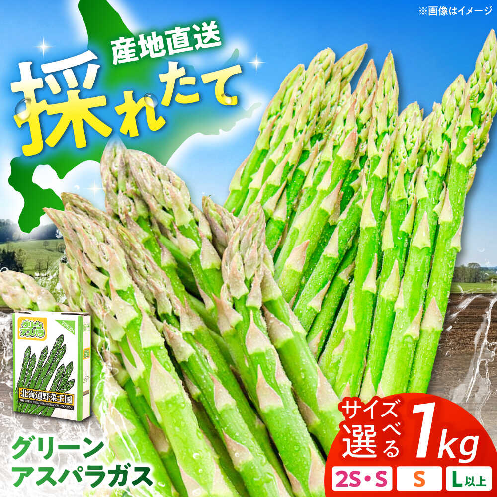 【選べるサイズ】グリーンアスパラガス 1kg （2S・S・L/露地栽培）《喜茂別町》【久保田農園】アスパラ アスパラガス 北海道 冷蔵 野菜 春野菜 26年発送 [AJAM009]