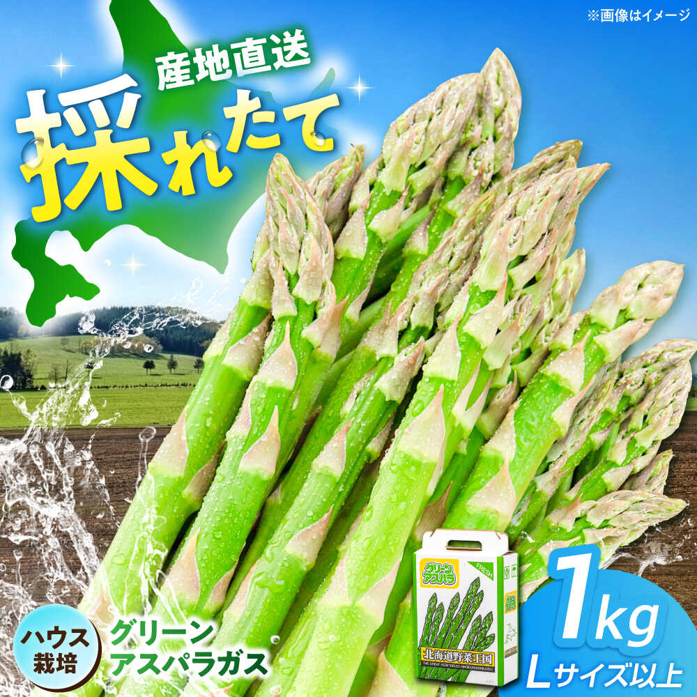 【2026年4月上旬以降順次発送】グリーンアスパラガス 1kg（L以上/ハウス栽培）《喜茂別町》【久保田農園】アスパラ アスパラガス 冷蔵 野菜 春野菜 北海道産 26年発送 [AJAM011] 15000 15000円