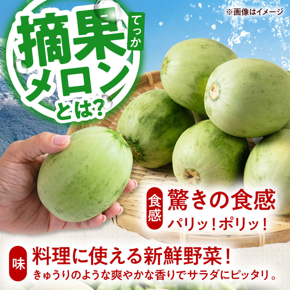 【ふるさと納税】【2026年6月下旬以降順次発送】北海道 摘果メロン 2kg　《喜茂別町》【久保田農園】 メロン 子メロン ベビーメロン 漬物 野菜 旬 果物 先行予約 フルーツ 産地直送 26年発送 [AJAM012] 5000 5000円 5千円 サムネイル2