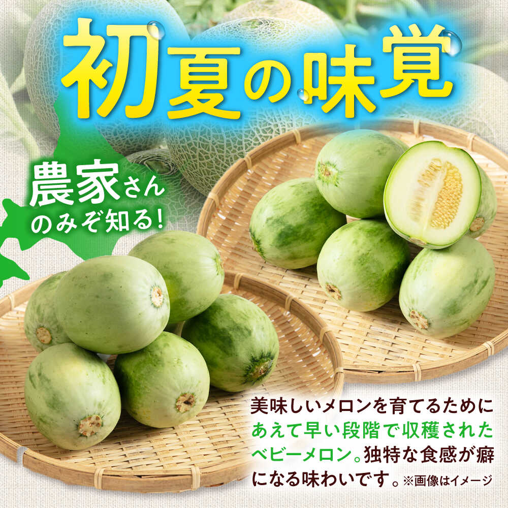 【ふるさと納税】【2026年6月下旬以降順次発送】北海道 摘果メロン 2kg　《喜茂別町》【久保田農園】 メロン 子メロン ベビーメロン 漬物 野菜 旬 果物 先行予約 フルーツ 産地直送 26年発送 [AJAM012] 5000 5000円 5千円 サムネイル3