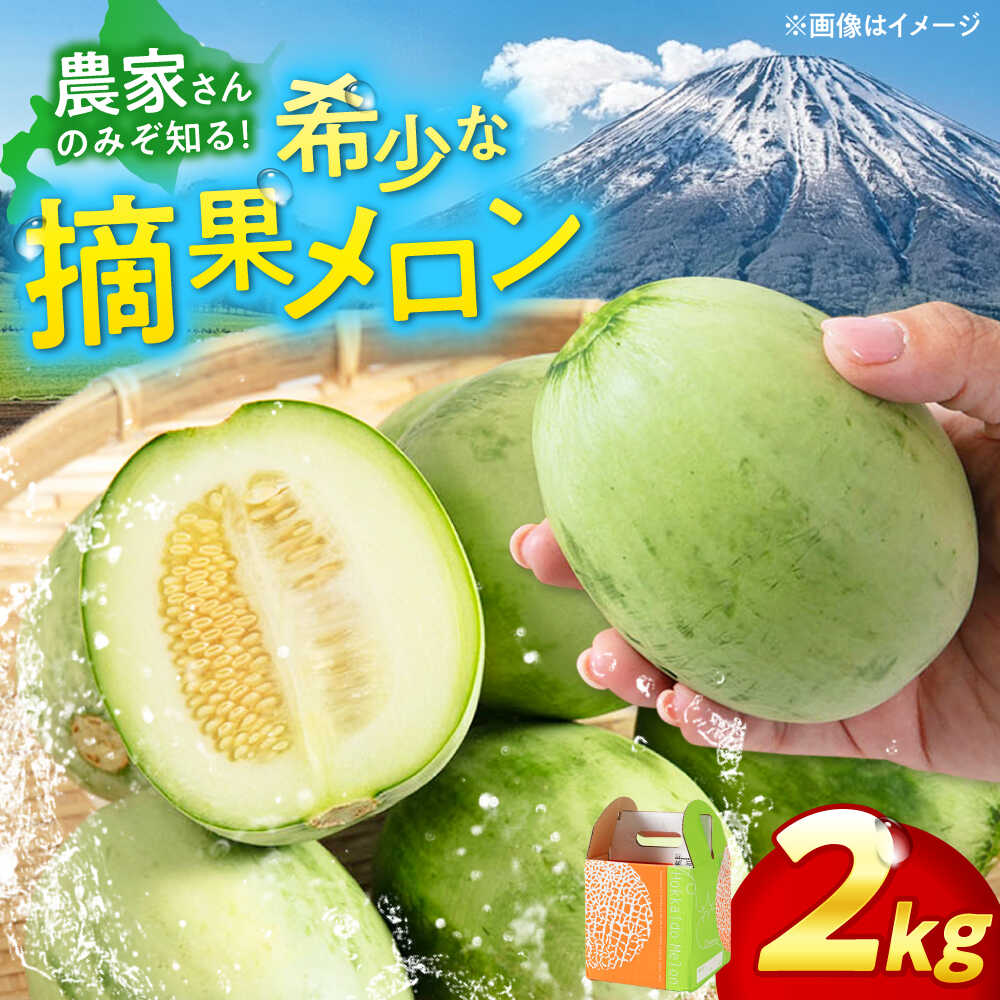 【2026年6月下旬以降順次発送】北海道 摘果メロン 2kg　《喜茂別町》【久保田農園】 メロン 子メロン ベビーメロン 漬物 野菜 旬 果物 先行予約 フルーツ 産地直送 26年発送 [AJAM012] 5000 5000円 5千円