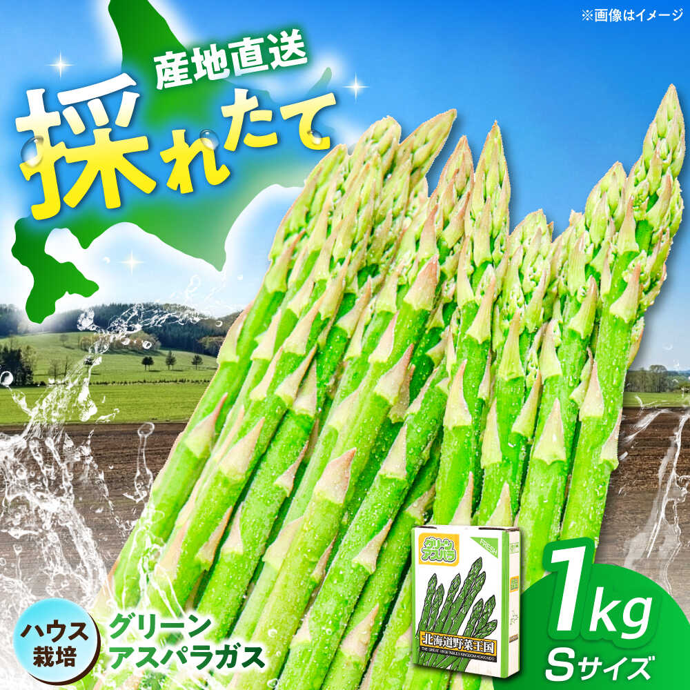 【2026年4月以降順次発送】北海道 グリーンアスパラガス 1kg （S/ハウス栽培）《喜茂別町》【久保田農園】 アスパラ アスパラガス グリーンアスパラ 冷蔵 冷蔵配送 野菜 春野菜 季節の野菜 [AJAM013] 10000 10000円 1万円