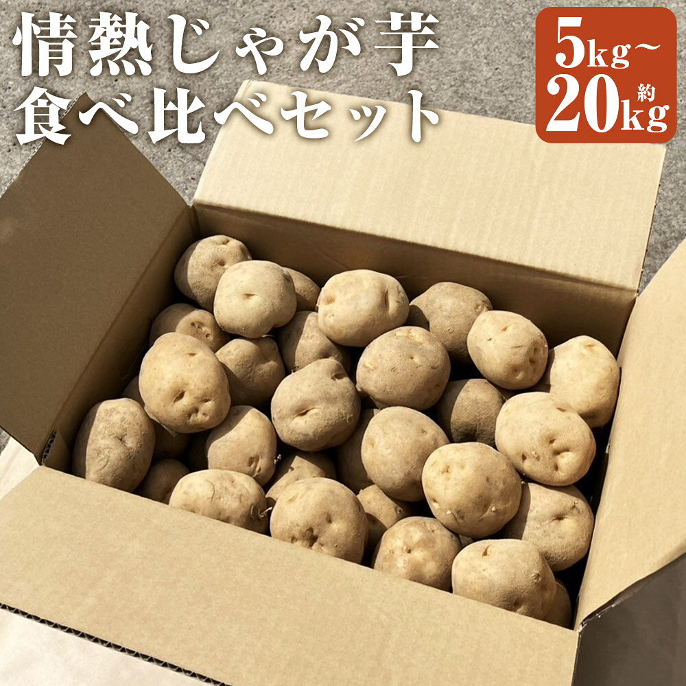 【先行受付】情熱じゃがいも（男爵・キタアカリ） 食べ比べセット ＜選べる内容量＞計約5kg（各約2.5kg） / 計約10kg（各約5kg） / 計約20kg（各約10kg） ジャガイモ 野菜 詰め合わせ 国産 北海道産 京極町 送料無料 【2026年10月上旬～12月上旬迄発送予定】