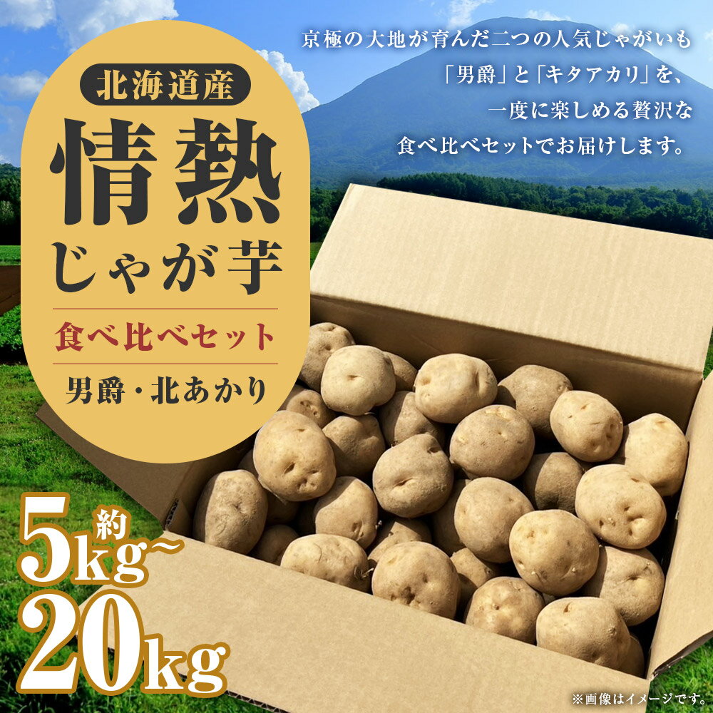 【ふるさと納税】【先行受付】情熱じゃがいも（男爵・キタアカリ） 食べ比べセット ＜選べる内容量＞計約5kg（各約2.5kg） / 計約10kg（各約5kg） / 計約20kg（各約10kg） ジャガイモ 野菜 詰め合わせ 国産 北海道産 京極町 送料無料 【2026年10月上旬～12月上旬迄発送予定】 - 画像2